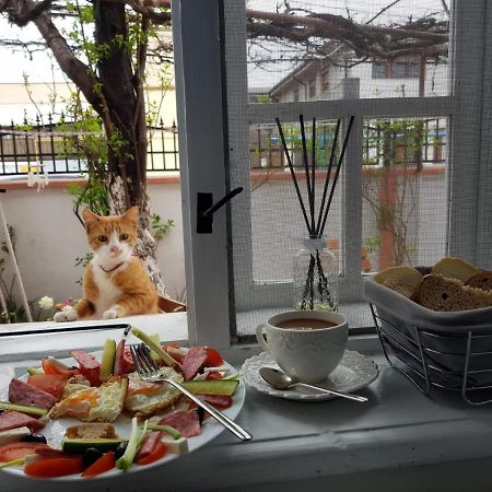 Victory Sea House Hotel Констанца Екстериор снимка